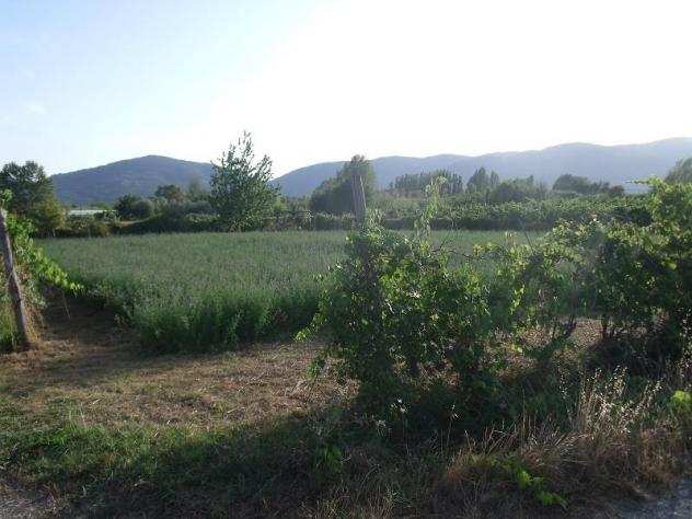 Terreno agricolo in vendita a PIANO DI AMEGLIA - Ameglia 1640 mq Rif 1061125