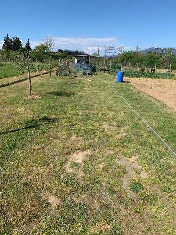 Terreno agricolo in vendita a Pisa 4000 mq Rif 1012628