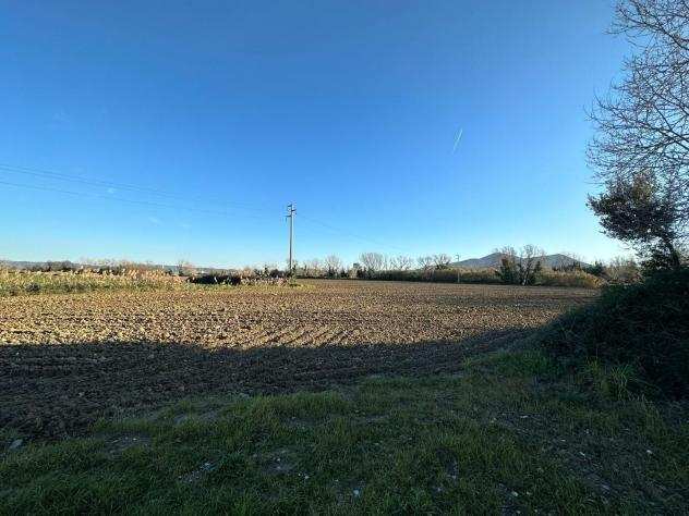 Terreno agricolo in vendita a PRINCIPINA TERRA - Grosseto 53892 mq Rif 1090125