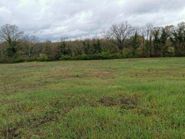 Terreno agricolo in vendita a QUARTAIA - Colle di Val dElsa 24000 mq Rif 1061048