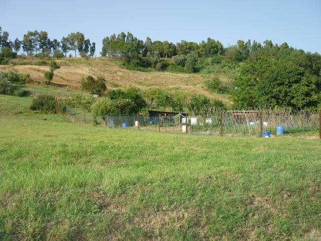 Terreno agricolo in vendita a RIPOLI - Cerreto Guidi 2420 mq Rif 283967