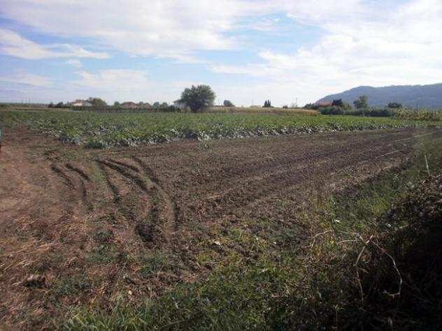 Terreno agricolo in vendita a SAN LAZZARO - Sarzana 2200 mq Rif 798752