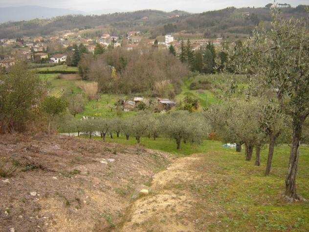 Terreno agricolo in vendita a SAN LEONARDO IN TREPONZIO - Capannori 20000 mq Rif 678483