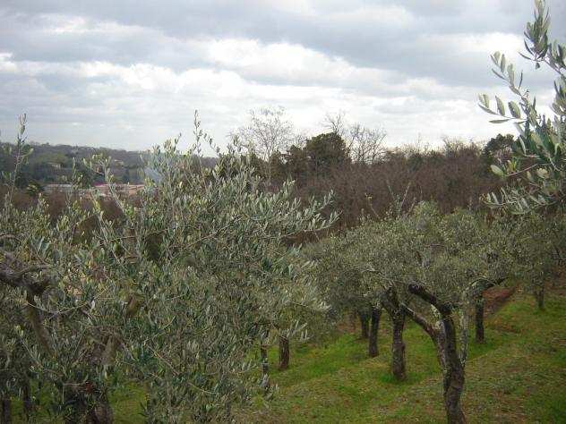 Terreno agricolo in vendita a SAN LEONARDO IN TREPONZIO - Capannori 20000 mq Rif 678483