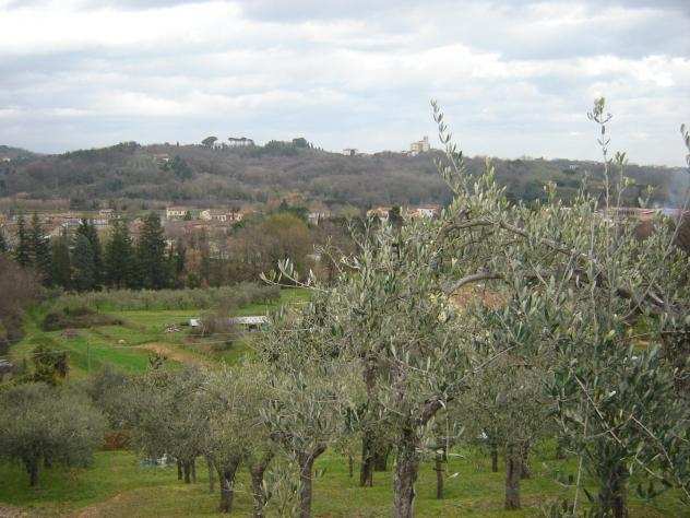 Terreno agricolo in vendita a SAN LEONARDO IN TREPONZIO - Capannori 20000 mq Rif 678483