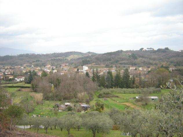 Terreno agricolo in vendita a SAN LEONARDO IN TREPONZIO - Capannori 20000 mq Rif 678483