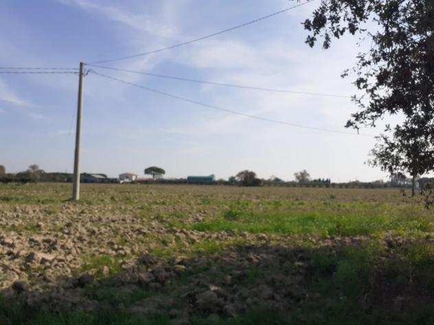 Terreno agricolo in vendita a SAN LORENZO A PAGNATICO - Cascina 7350 mq Rif 1068137