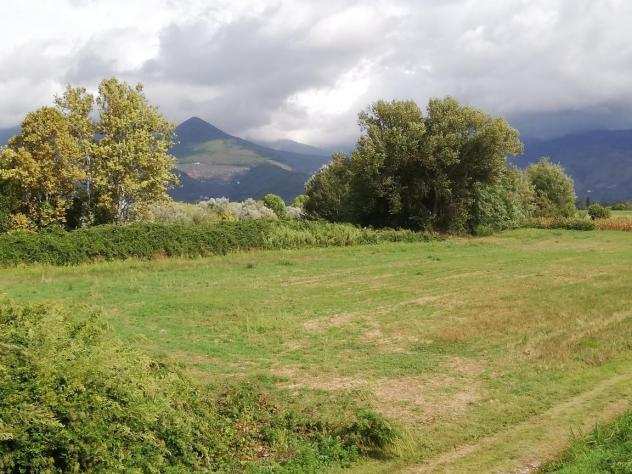 Terreno agricolo in vendita a SAN LORENZO ALLE CORTI - Cascina 6000 mq Rif 839565