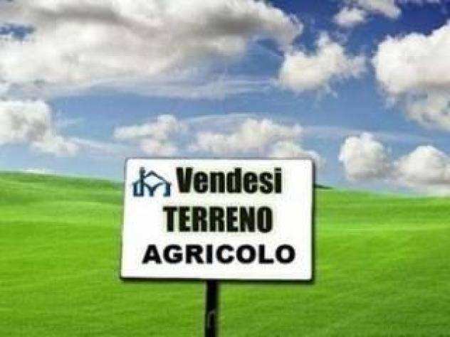 Terreno agricolo in vendita a SAN MARTINO A ULMIANO - San Giuliano Terme 6240 mq Rif 1099761