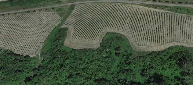 Terreno agricolo in vendita a San Miniato 160000 mq Rif 1188662