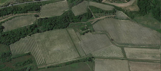 Terreno agricolo in vendita a San Miniato 240000 mq Rif 1188659