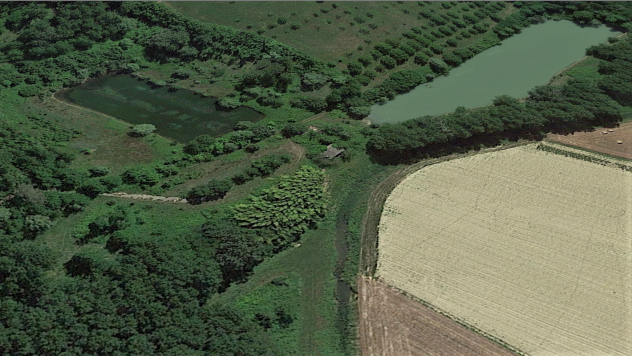 Terreno agricolo in vendita a San Miniato 46600 mq Rif 1141007