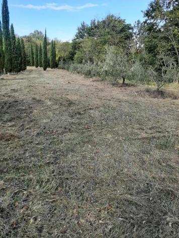 Terreno agricolo in vendita a SAN RUFFINO - Casciana Terme Lari 2730 mq Rif 1098803