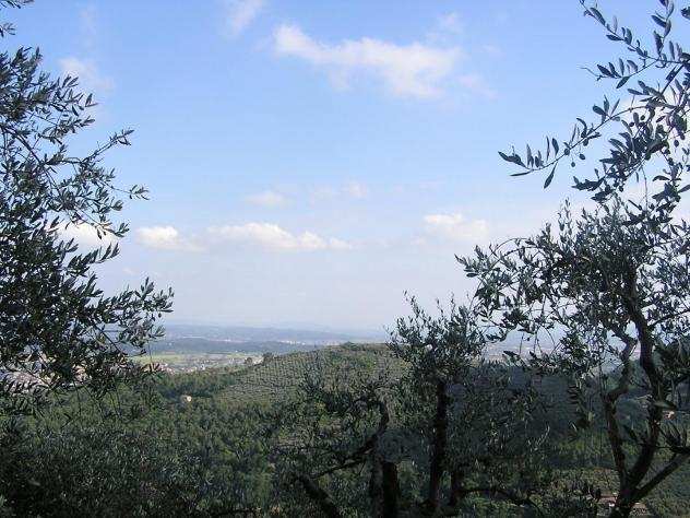 Terreno agricolo in vendita a Santa Colomba - Bientina 60000 mq Rif 1224182