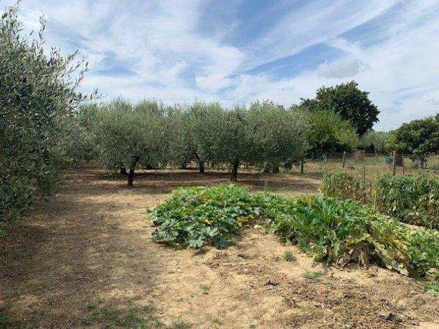 Terreno agricolo in vendita a Santa Maria a Ripa - Empoli 1600 mq Rif 1183349