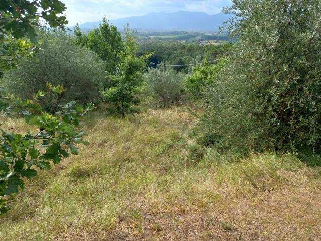 Terreno agricolo in vendita a SANTALESSIO - Lucca 8500 mq Rif 1174038