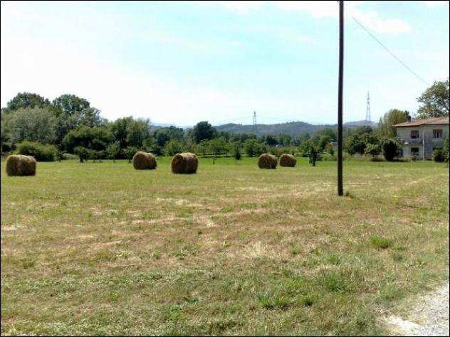 Terreno agricolo in vendita a Sarzana 5000 mq Rif 1123247