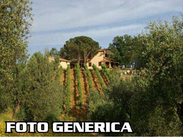 Terreno agricolo in vendita a TRIPALLE - Crespina Lorenzana 7000 mq Rif 405455