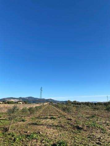 Terreno agricolo in vendita a VENTURINA - Campiglia Marittima 30000 mq Rif 1231340