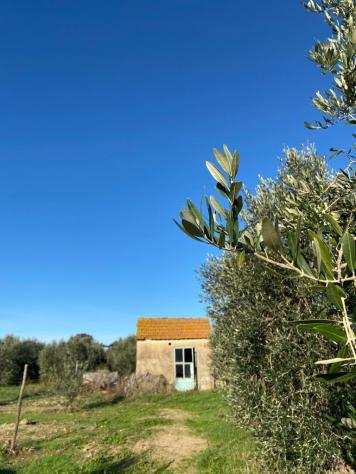 Terreno agricolo in vendita a VENTURINA - Campiglia Marittima 30000 mq Rif 1231340