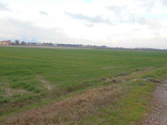 Terreno agricolo in vendita a VICARELLO - Collesalvetti 25000 mq Rif 1047352