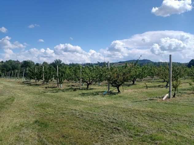 Terreno agricolo in vendita in Valsamoggia, Bazzano