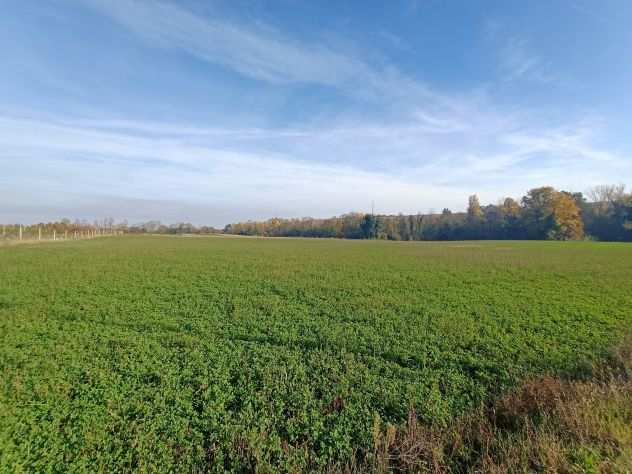 Terreno agricolo in vendita in Valsamoggia, Bazzano