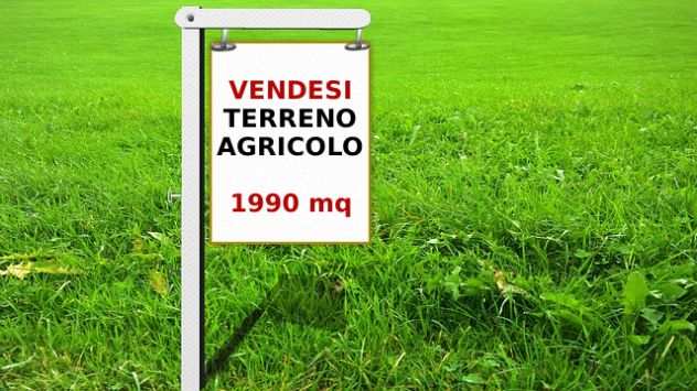 TERRENO AGRICOLO mq 1990 a Ghemme (Novara)