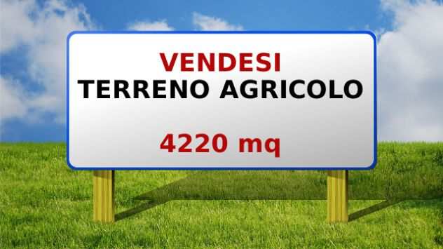 TERRENO AGRICOLO mq 4220 a Ghemme (Novara)