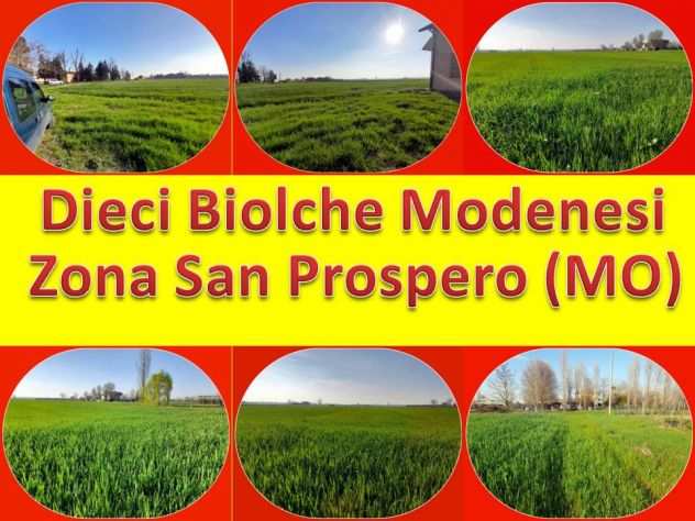 Terreno Agricolo Seminativo da 10 Biolche Modenesi