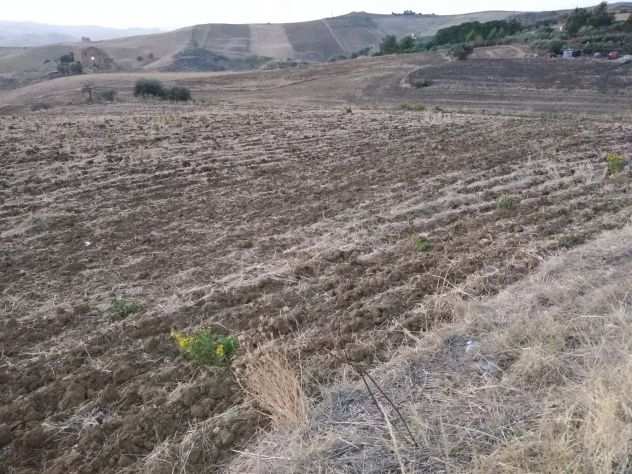 TERRENO AGRICOLO, seminativo, di mq 39.500 sito in Villarosa (EN) Cda Stanzie