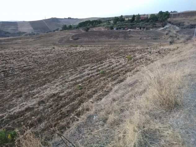 TERRENO AGRICOLO, seminativo, di mq 39.500 sito in Villarosa (EN) Cda Stanzie