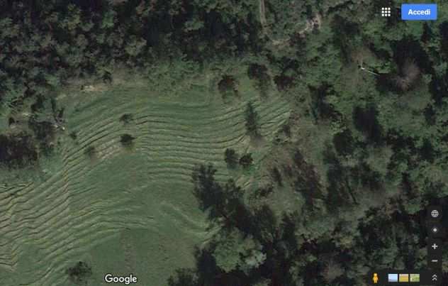 TERRENO AGRICOLO TERRAZZATO EX VIGNETO