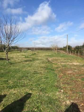 Terreno con casaletto in vendita a Civita Castellana