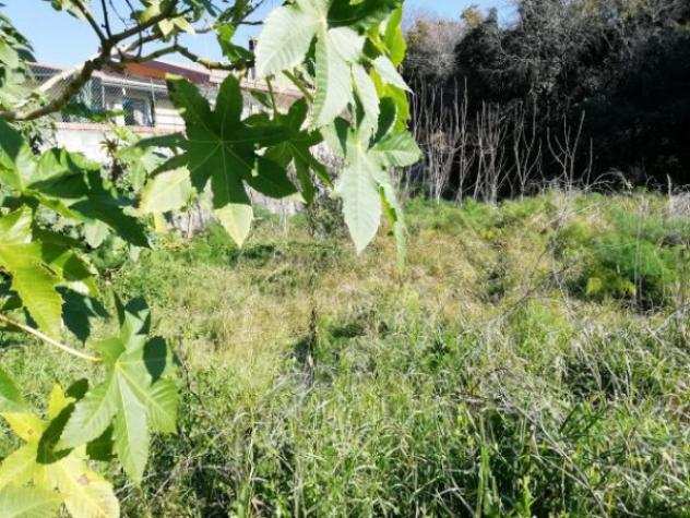 Terreno di 1400 msup2 in affitto a San Giovanni la Punta