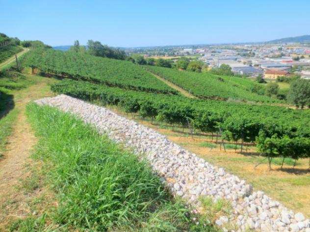 Terreno di 20000 msup2 in vendita a Montecchio Maggiore