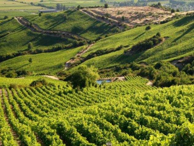 Terreno di 20000 msup2 in vendita a Montecchio Maggiore