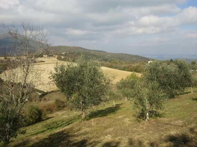 terreno di 2700mq. panoramico