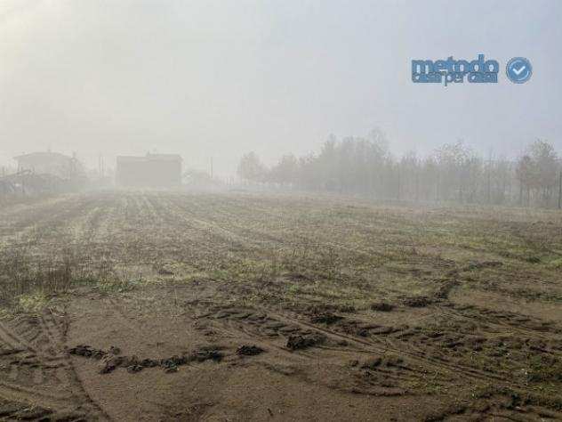 Terreno di 3800 msup2 in vendita a San Martino di Venezze