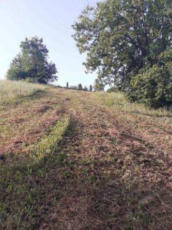 Terreno di 73000 msup2 in vendita a Valsamoggia