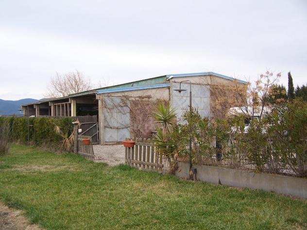 Terreno edif. residenziale in vendita a Barbaruta - Grosseto 108320 mq Rif 1073030