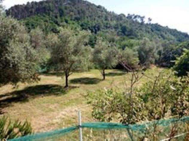 Terreno edif. residenziale in vendita a CASANO - Luni 1000 mq Rif 706306