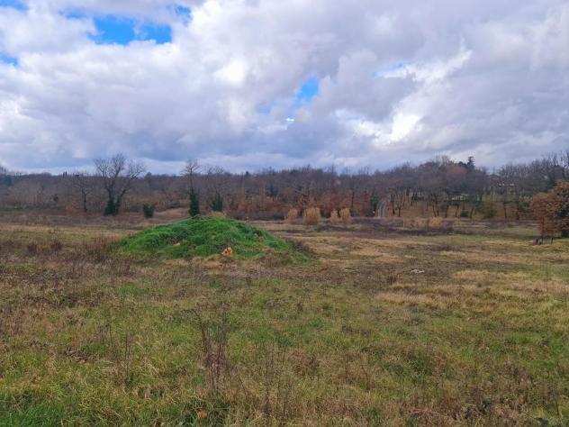 Terreno edif. residenziale in vendita a Colle di Val dElsa 855 mq Rif 952105