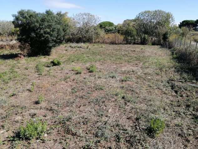 Terreno edificabile in vendita Olmetto Ladispoli 2200 MQ cubatura 0.30