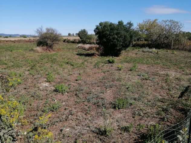 Terreno edificabile in vendita Olmetto Ladispoli 2200 MQ cubatura 0.30