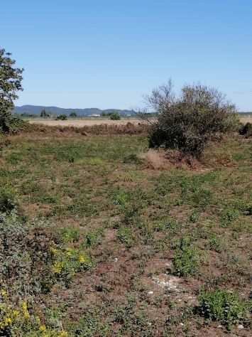 Terreno edificabile in vendita Olmetto Ladispoli 2200 MQ cubatura 0.30