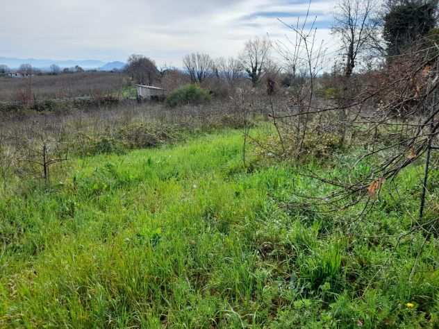 Terreno in vendita a Fabrica di Roma