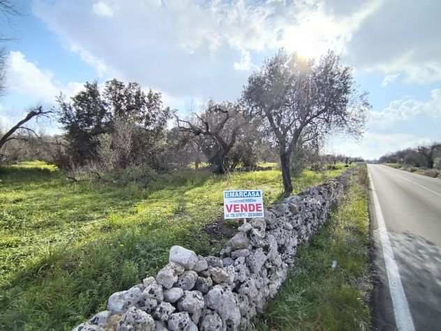 Terreno in Vendita Carpignano Salentino LE