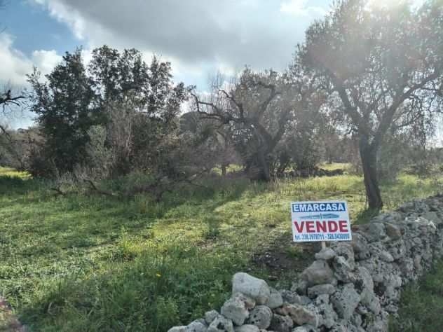 Terreno in Vendita Carpignano Salentino LE