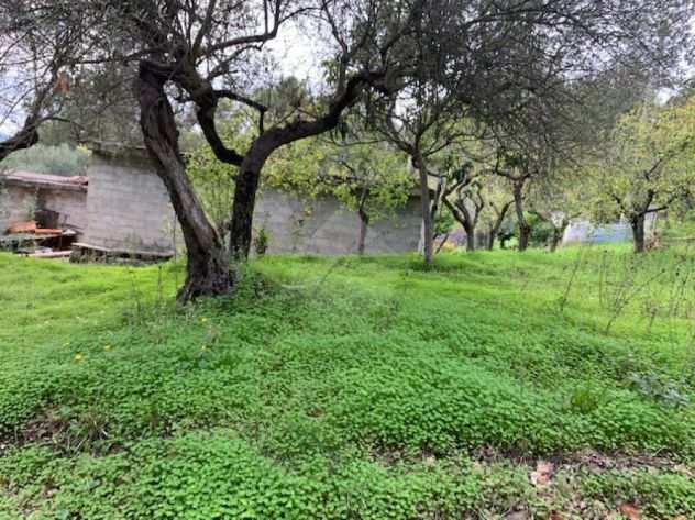 terreno Madonna del carmine